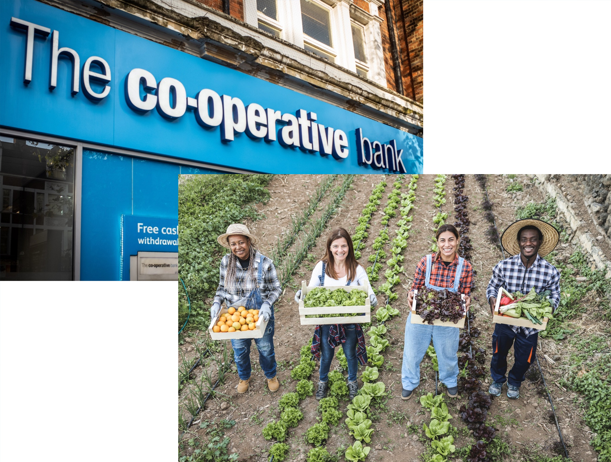 Cooperative Home Ownership